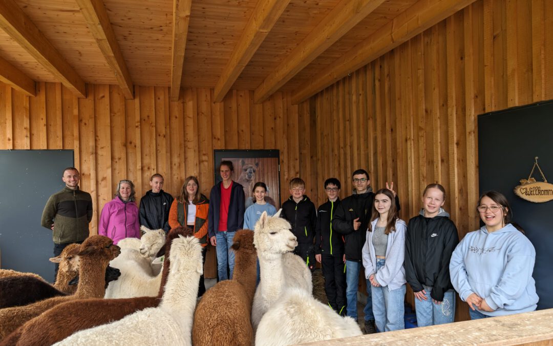 Ausflug der Peru AG auf die Alpaka Farm in Malsch am 3. Mai 2024